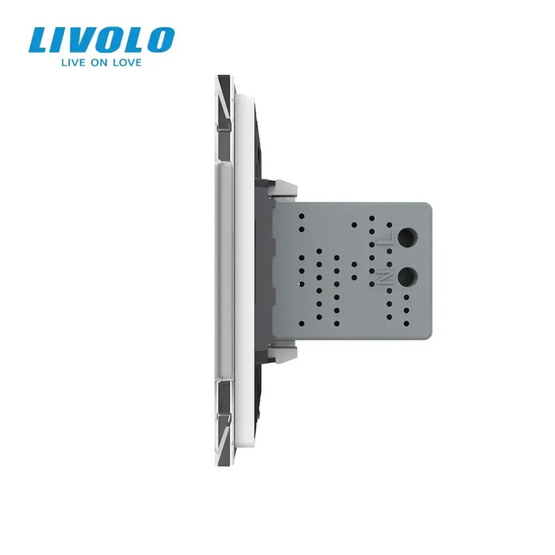 Розетка двойная USB с блоком питания LIVOLO белое матовое стекло