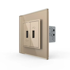 Розетка двойная USB с блоком питания LIVOLO золотое матовое стекло