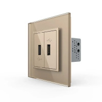 Розетка двойная USB с блоком питания Livolo золото стекло (VL-C792U-13)