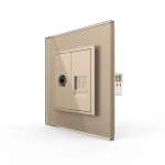 Розетка комп'ютерна RJ-45 і ТБ розетка LIVOLO золота матова скло