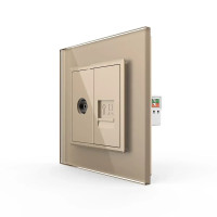 Розетка компьютерная RJ-45 и ТВ розетка Livolo золото стекло (VL-C791VC-13)