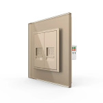 Розетка комп'ютерна подвійна RJ-45 LIVOLO золота матова скло