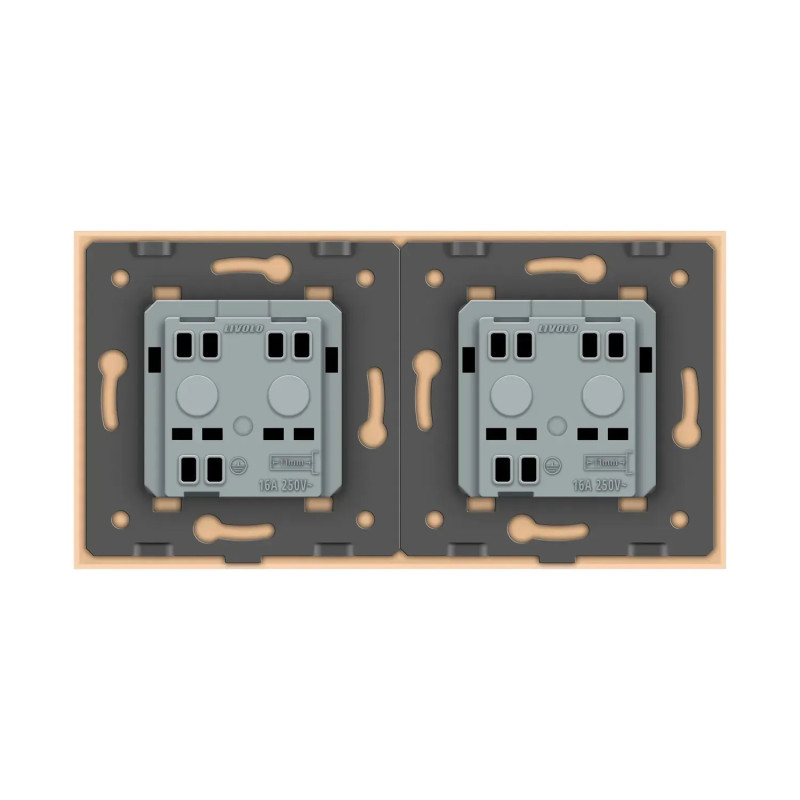 Розетка двомісна універсальна LIVOLO золота матова скло