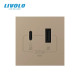 Розетка LIVOLO USB-A + USB-C PD 36Вт, золота, швидке заряджання, Power Delivery QC 3.0, модуль (VL-F