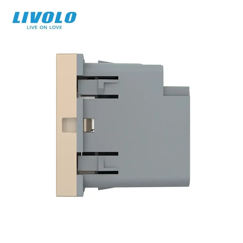 Розетка LIVOLO USB-A + USB-C PD 36Вт, золота, швидке заряджання, Power Delivery QC 3.0, модуль (VL-F