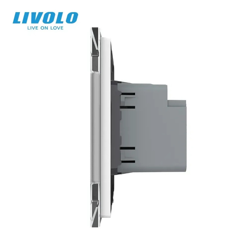 Розетка USB-A и USB-C с Power Delivery 36W LIVOLO белое матовое стекло