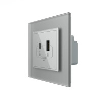 Розетка USB-A та USB-C з Power Delivery 36W LIVOLO сіра матова скло