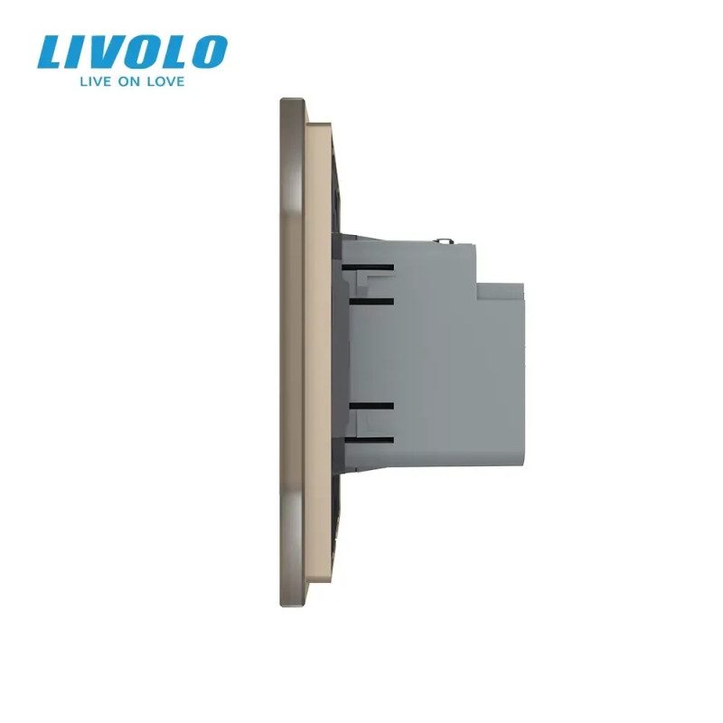 Розетка USB Type-C с Power Delivery 45W LIVOLO золотое матовое стекло