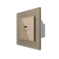 Розетка USB Type-C з Power Delivery 45W LIVOLO золота матова скло