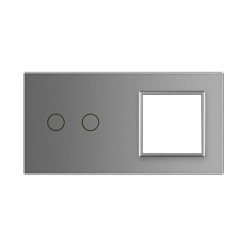 Рамка 2-постовая для 2-сенсорного выключателя и розетки (2-0) LIVOLO, закаленное стекло, серая матовая, 15