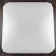Потолочный светильник LED ICE VIOLUX квадрат 48W 5000K IP20 200041