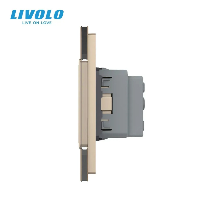 Подвійна електрична розетка з заземленням LIVOLO, золота, скляна матова рамка, шторки, 250В 16А