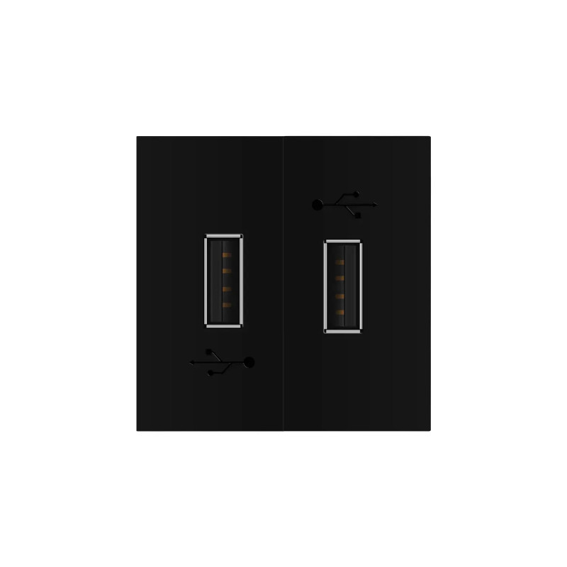 Подвійна розетка USB LIVOLO чорна, з блоком живлення 2×USB-A 5V/2.1A, 2×10Вт, модуль (VL-FCUA-2BP)