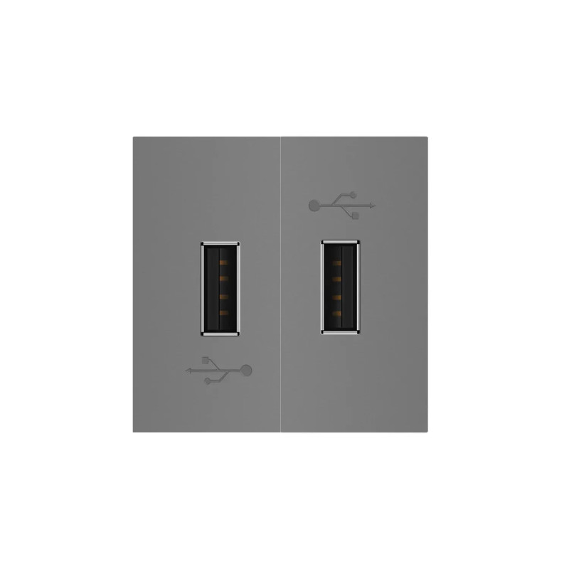 Подвійна розетка USB LIVOLO сіра, з блоком живлення 2×USB-A 5V/2.1A, 2×10Вт, модуль (VL-FCUA-2IP)