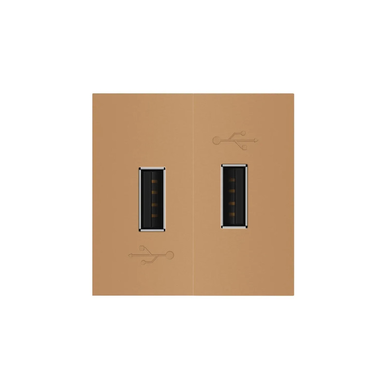 Подвійна розетка USB LIVOLO золота, з блоком живлення 2×USB-A 5V/2.1A, 2×10Вт, модуль (VL-FCUA-2AP)