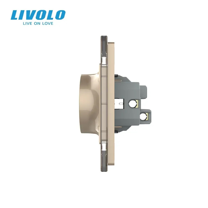 Двойная электрическая розетка в один подрозетник с заземлением LIVOLO, золотая, стеклянная рамка, 250В 16А