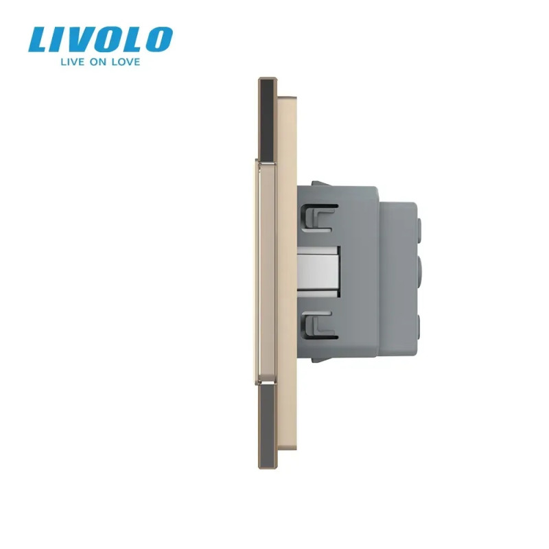 Пятиместная электрическая розетка с заземлением LIVOLO, золотая, стеклянная матовая рамка, шторки, 250В 16А