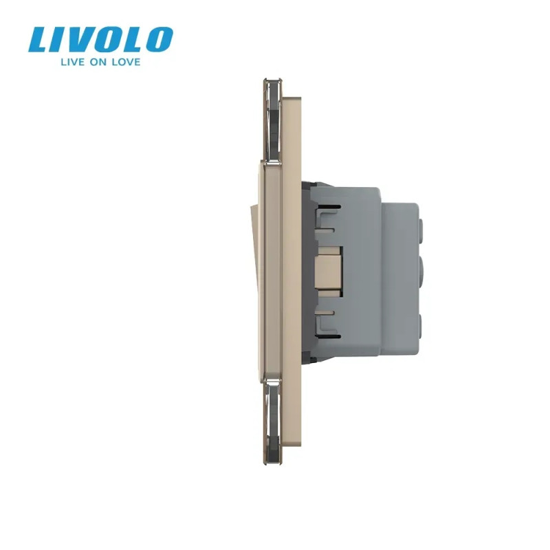 Одноклавишный выключатель с розеткой LIVOLO золотое матовое стекло