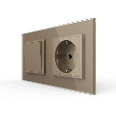 Одноклавишный выключатель с розеткой LIVOLO золотое матовое стекло