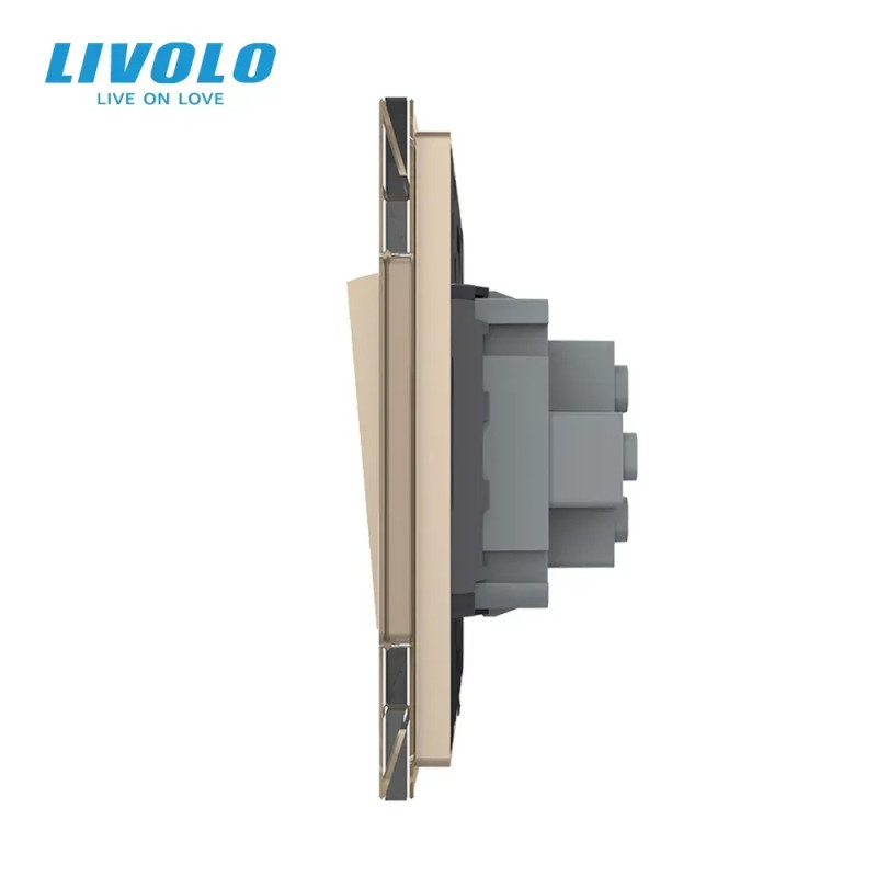 Кнопковий вимикач без фіксації Дзвінковий вимикач Імпульсний вимикач LIVOLO золотий матовий скло
