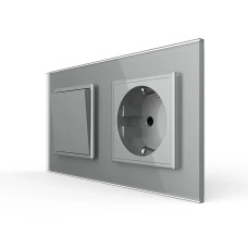 Двухклавишный выключатель с розеткой LIVOLO серое матовое стекло