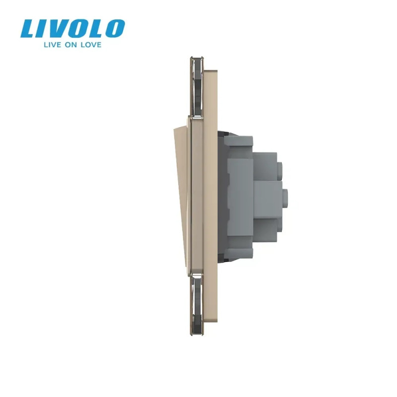 Двоклавішний вимикач (1-1) LIVOLO золотий матовий скло