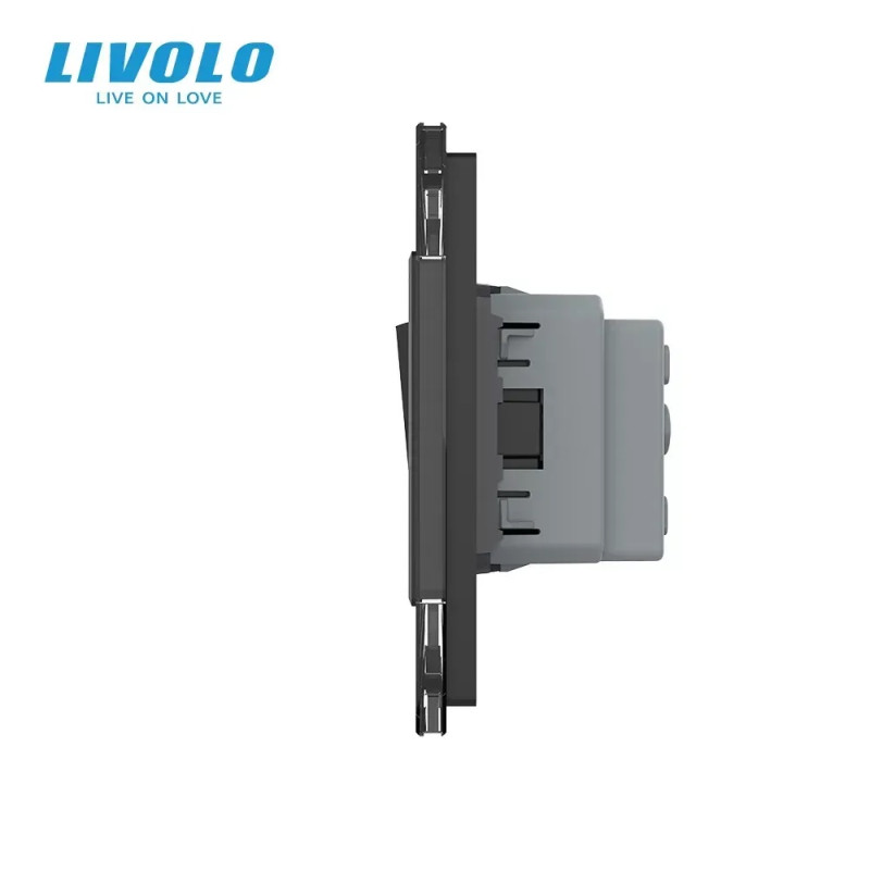 Двоклавішний вимикач (1-1) з розеткою LIVOLO чорний матовий скло