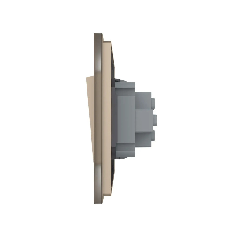 Вимикач універсальний 1-клавішний LIVOLO золотий матовий скло 250В 10А