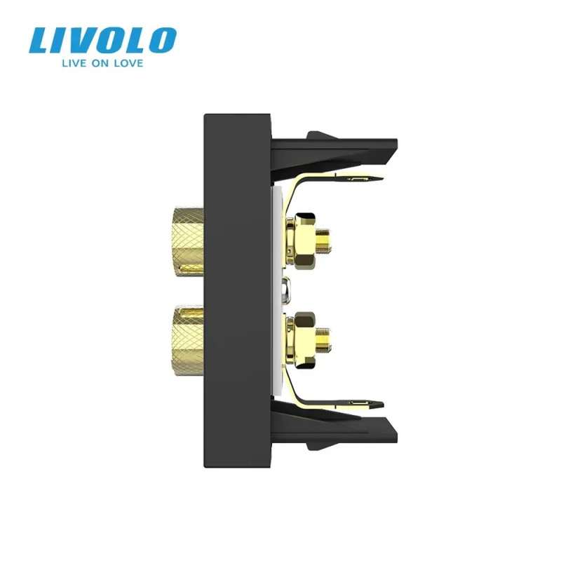 Аудио розетка LIVOLO Banana Plug, черная, для колонок/усилителя, модуль 0.5 поста (VL-FCSD-1BP)