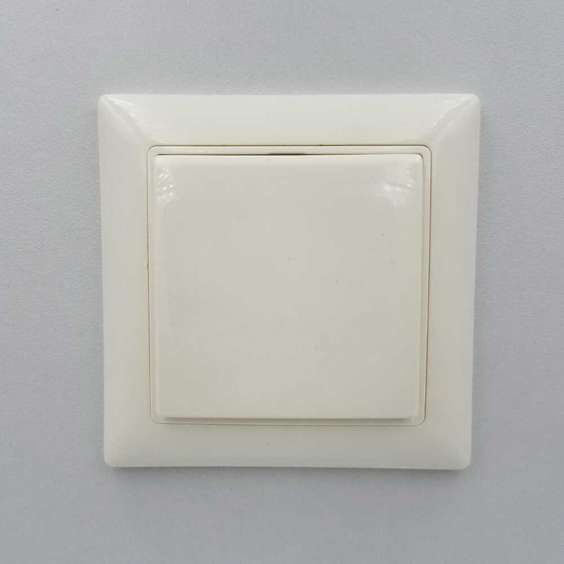 Розетка Basic55 сл.кость 1-я с/с крышк. (б/с) (20 EUK-92-507) 2CKA002018A0351