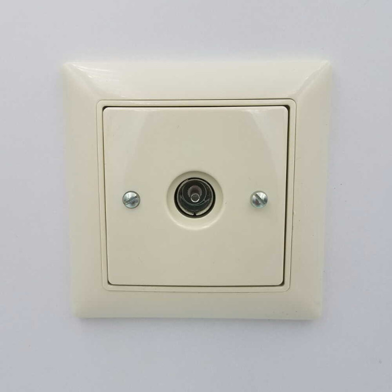 Розетка Basic55 сл.кость TV (б/р) (1743-01-92-507) 2CKA001724A4280