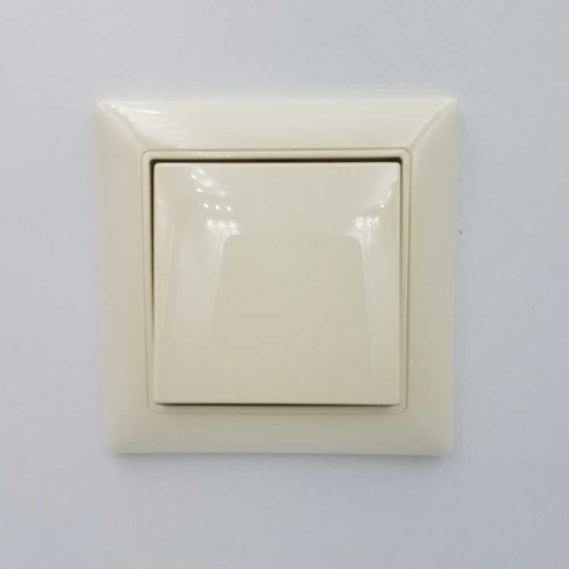 Вимикач  Basic55 сл.кість 1-кл прох. (б/р) (2006/6 UC-92-507)
2CKA001012A2149