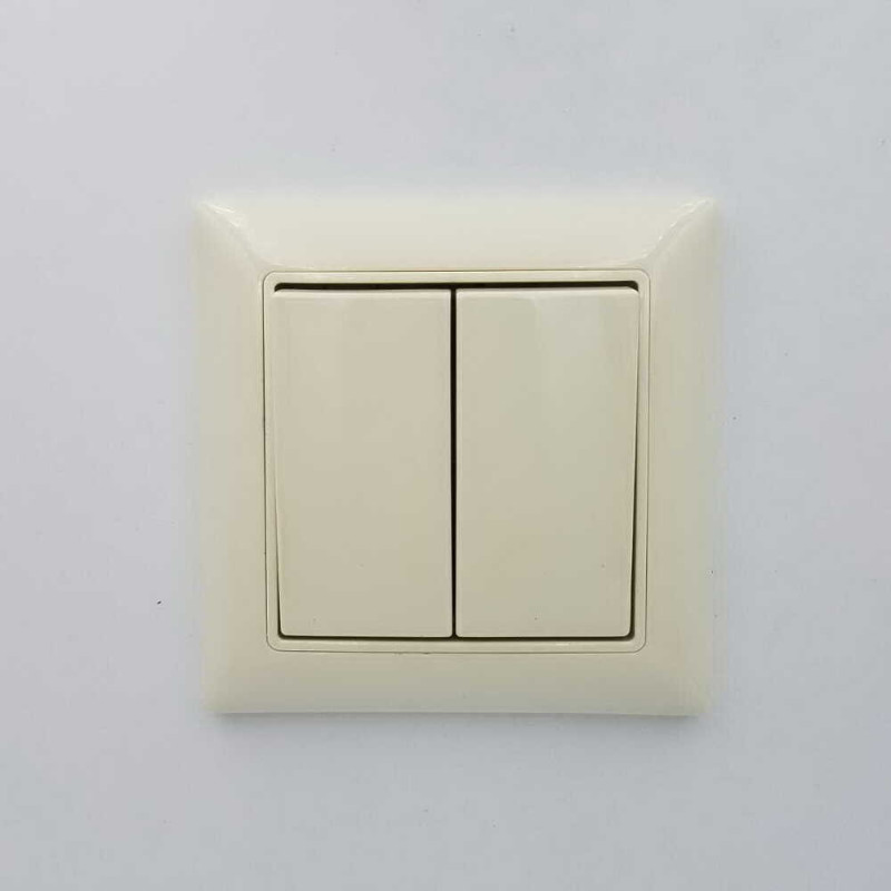 Вимикач  Basic55 сл.кість 2-кл (б/р) (2006/5 UC-92-507) 2CKA001012A2148