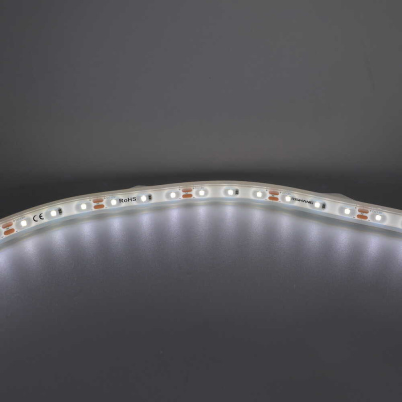 Светодиодная лента RISHANG 12V 5,5W 4000K 60led IP67 ( RN3060TA-B ) 5м