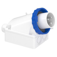 Настенная вилка с коробом, винтовая, 32А, 2Р+Е, IP67, 200-250В, Schneider Electric 83566