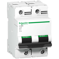 Автоматический выключатель Schneider Electric Acti9 C120N 2P 100A 10кА C (A9N18362)