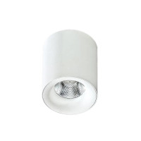 Точковий світильник спот Azzardo AZ2845 Mane LED 1x10W 3000K 800Lm IP20 білий