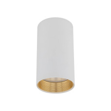 Точковий світильник спот TK Lighting 10719 Amis GU10 1x10W IP20 білий