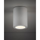 Точковий світильник TK Lighting 10932 Ligno GU10 1x10W IP44 білий