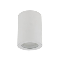 Точковий світильник TK Lighting 10932 Ligno GU10 1x10W IP44 білий
